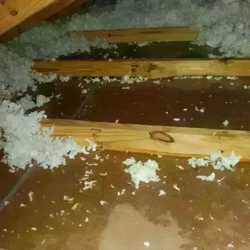 Attic Water Damage in South El Monte, CA